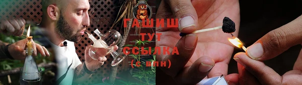 гидра Алагир