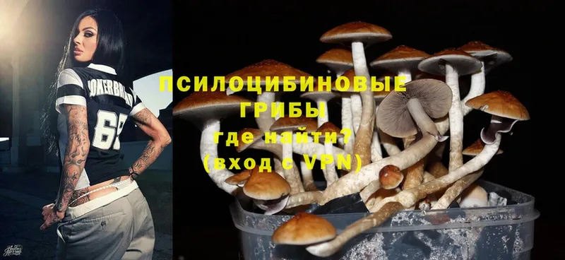 Псилоцибиновые грибы MAGIC MUSHROOMS  хочу наркоту  Северск 