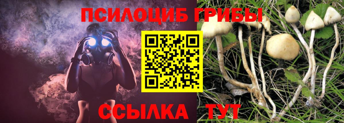 Северск  Псилоцибиновые грибы мухоморы  где найти   Вход с VPN  Псилоцибиновые грибы Psilocybe 